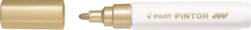 Pilot Pintor Medium