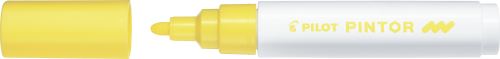 Pilot Pintor Medium